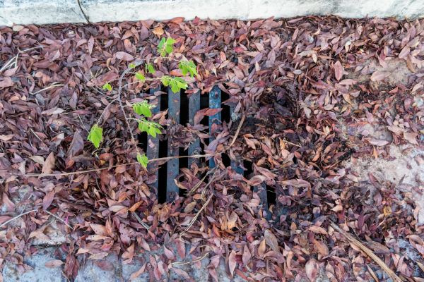 Yard Drain Unclogging in South Zanesville