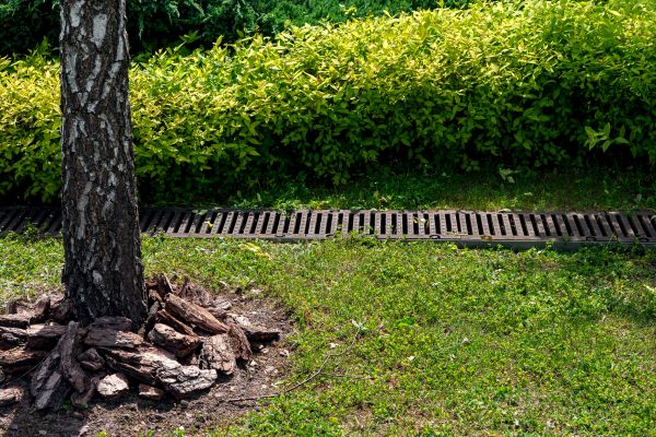 Wet Yard Drainage in South Zanesville