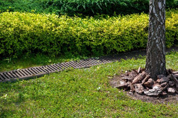 Residential Landscape Drainage in South Zanesville
