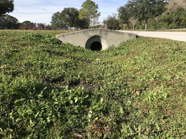 Cost of Swale Drainage Service in South Zanesville